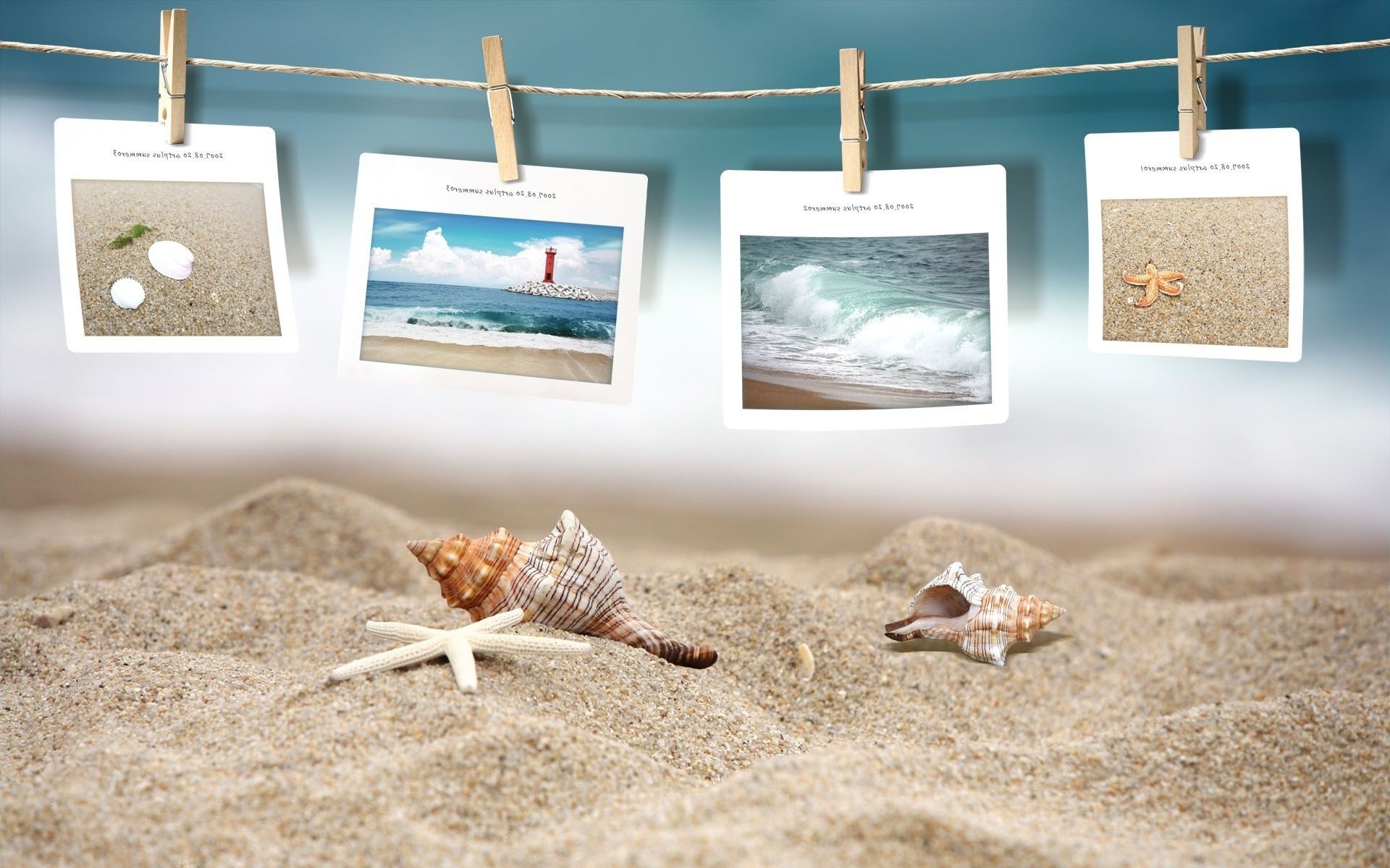 sea and ocean sand beach rope seashore seashell starfish empty sea dry clothespin nature shell relaxation vacation summer wood clothesline still life pin