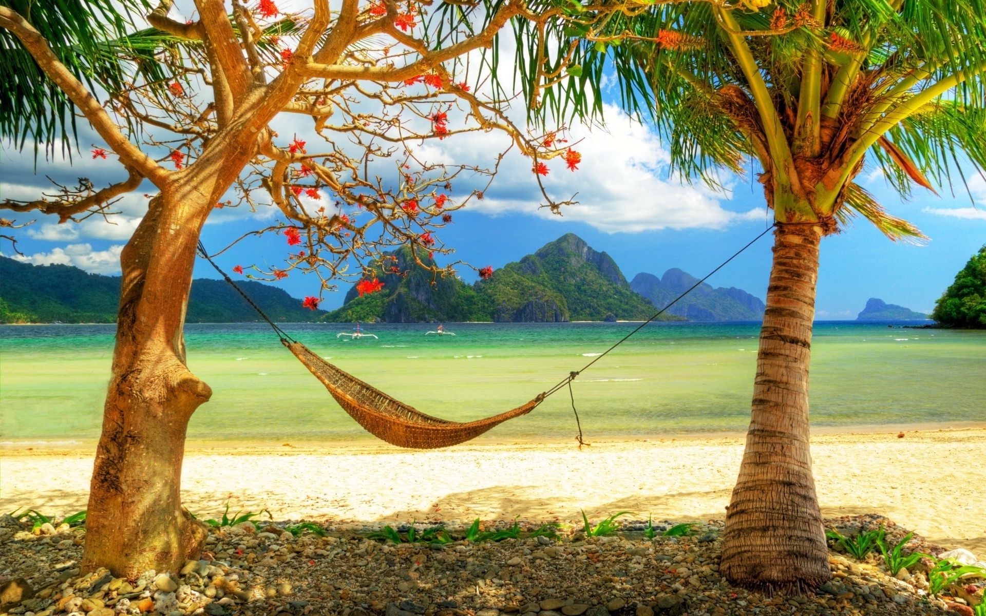 mer et océan arbre tropical nature paume bois été feuille exotique plage ciel voyage paysage noix de coco détente mer paradis idylle vacances océan