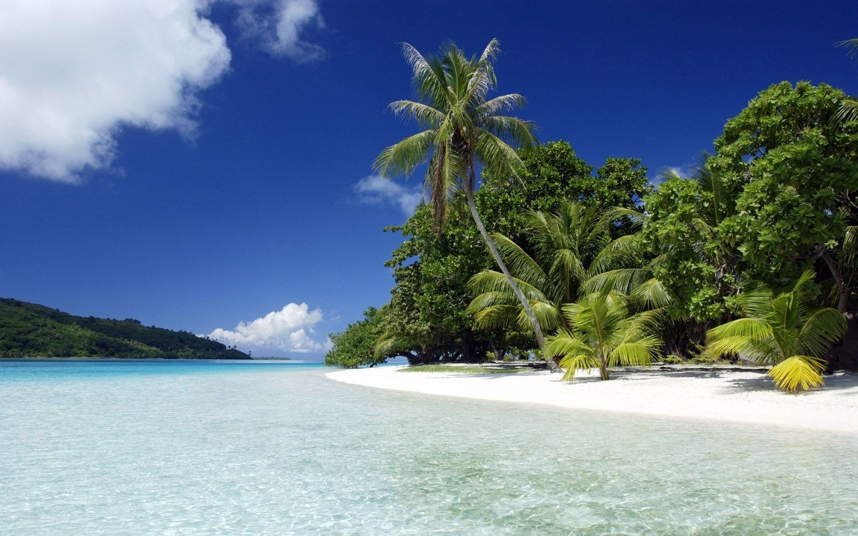 mar e oceano tropical ilha praia mar areia exótico idílio viagens água paraíso oceano lagoa férias palma verão paisagem árvore relaxamento turquesa baía