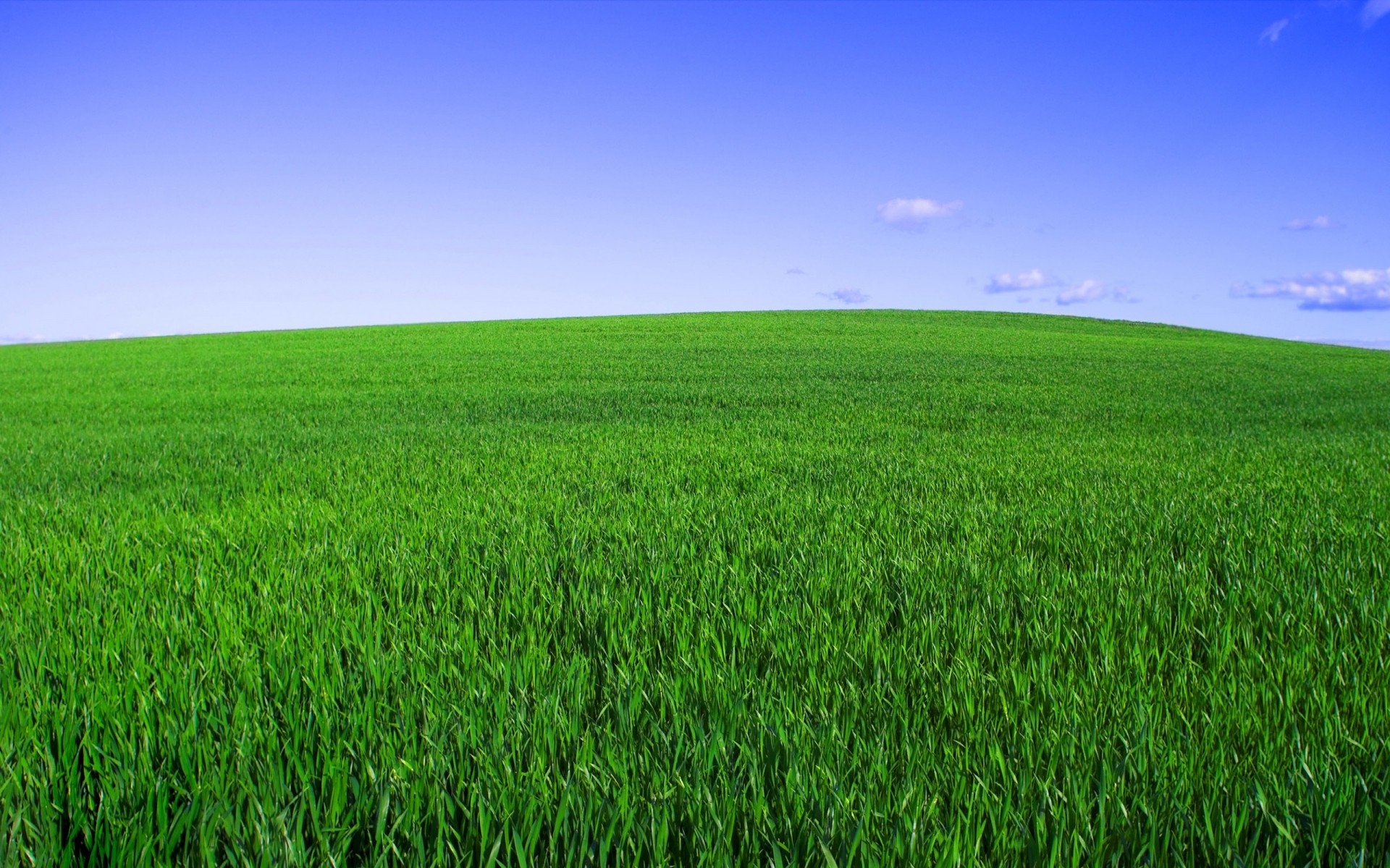 paesaggio campo rurale erba fattoria pascolo fieno campagna crescita orizzonte paesaggio agricoltura suolo natura prato estate bel tempo sole idillio verde cielo