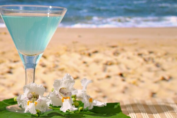 Cocktail sur la plage au bord de l océan