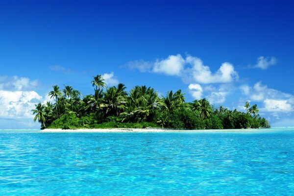 Una isla solitaria con una palmera en medio del océano