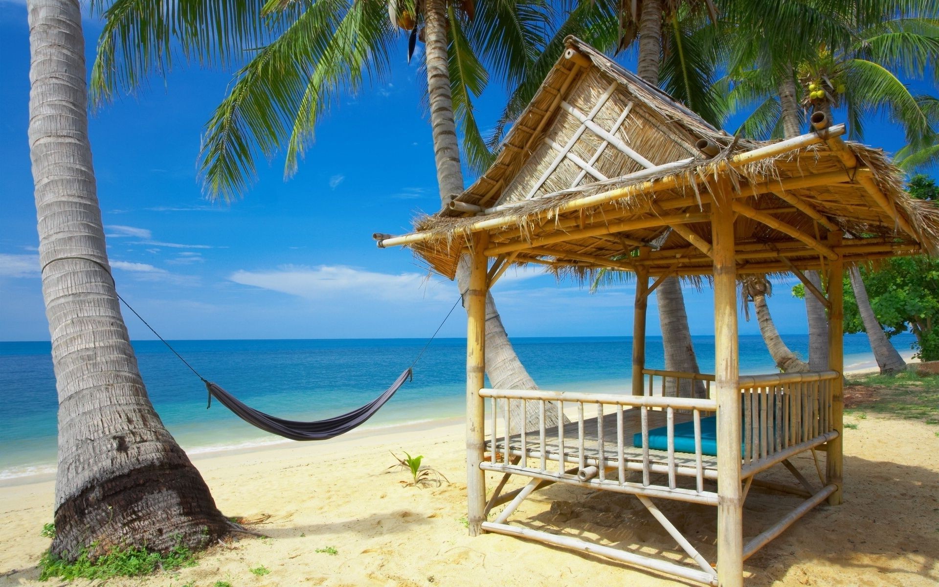 summer tropical palm resort beach vacation sand relaxation ocean travel island seashore turquoise exotic paradise idyllic chair sun coconut water