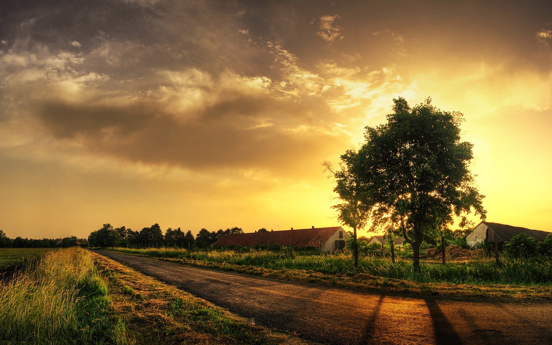 landscapes sunset dawn nature sun landscape sky rural tree countryside outdoors fall grass fair weather field summer evening light dusk road