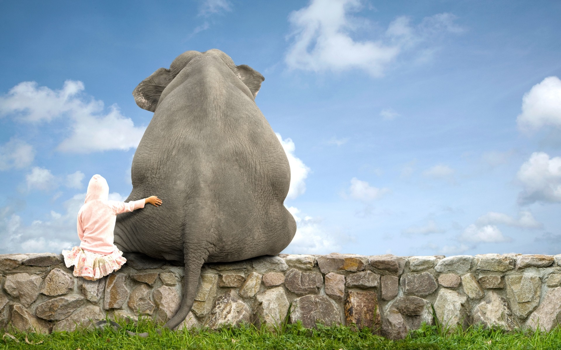 elaborazione fotografica cielo roccia all aperto pietra viaggi natura erba paesaggio elefante