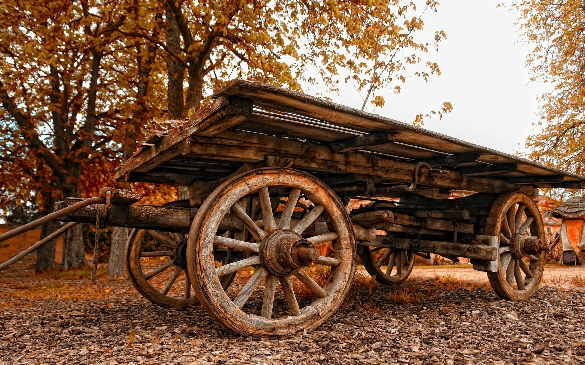 automne roue wagon transport système de transport bois vintage panier en bois vieux voiture rustique rustique voyage rouillé feuille