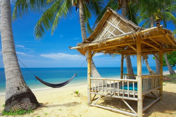 Sommer auf einer tropischen Insel im Ozean