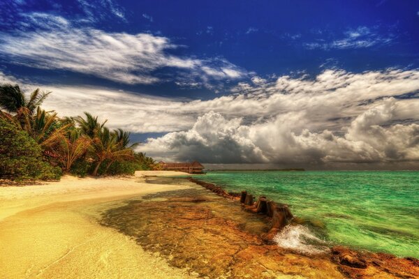 Tropical beach by green water