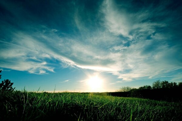 Paysage du matin dans le village: ciel et herbe