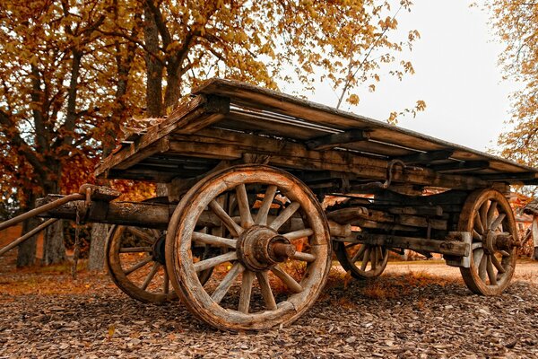 Der Wagen fehlt, die gesamte Ernte wird gesammelt