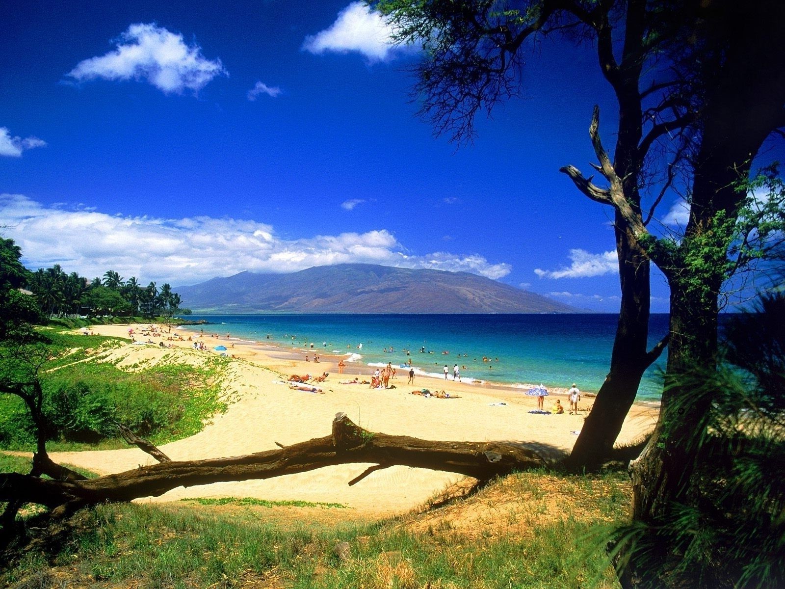 mar y océano agua naturaleza árbol paisaje viajes cielo playa al aire libre mar mar océano verano sol amanecer atardecer buen tiempo