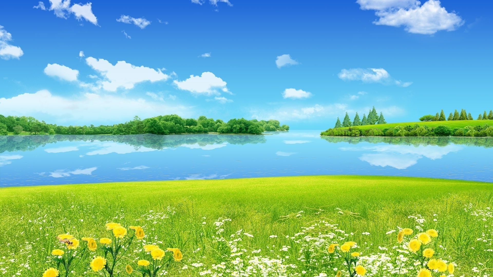 Облака, трава, цветы, озеро скачать