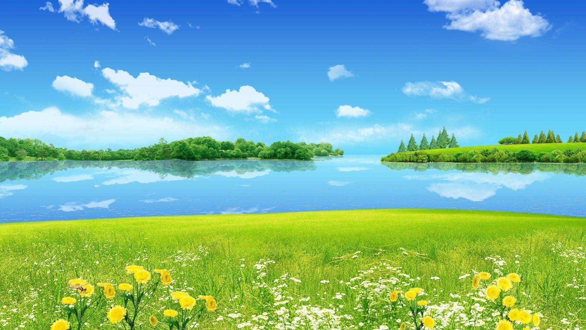 lake summer nature landscape rural field hayfield sky horizon grass scene season countryside fair weather cloud flower idyllic sun country flora