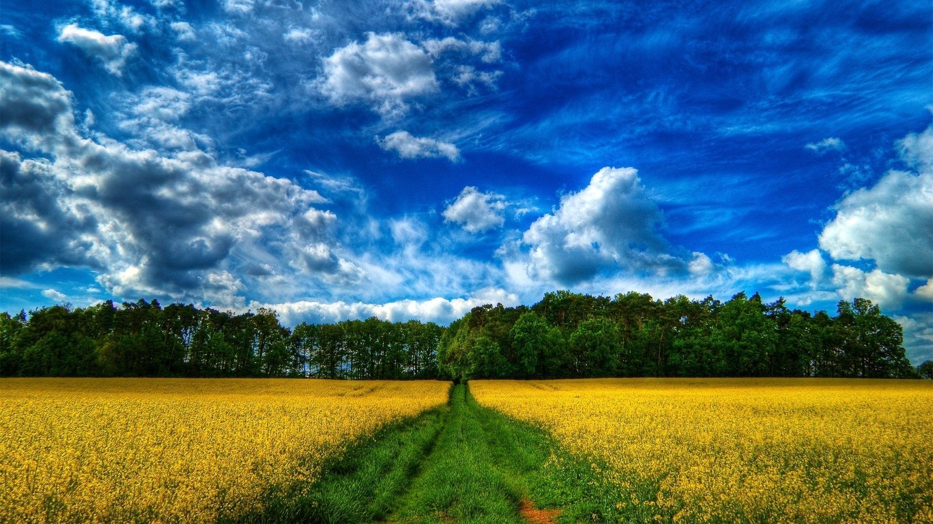 verão céu paisagem natureza rural campo agricultura nuvem campo bom tempo ao ar livre fazenda horizonte sol tempo grama pasto árvore solo