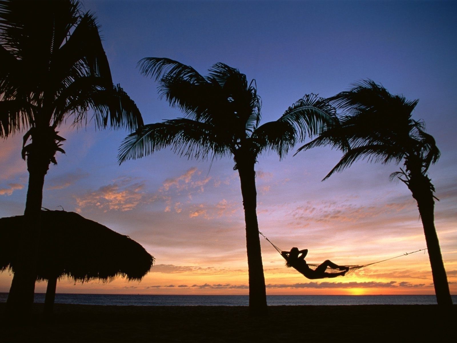 mer et océan plage palm silhouette coucher de soleil tropical rétro-éclairé soleil arbre voyage exotique mer sable eau océan