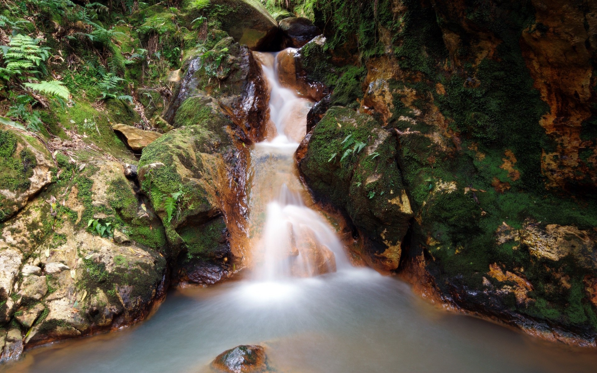 paesaggio cascata acqua fiume legno roccia natura foglia all aperto flusso movimento cascata albero autunno viaggio flusso muschio paesaggio sfocatura