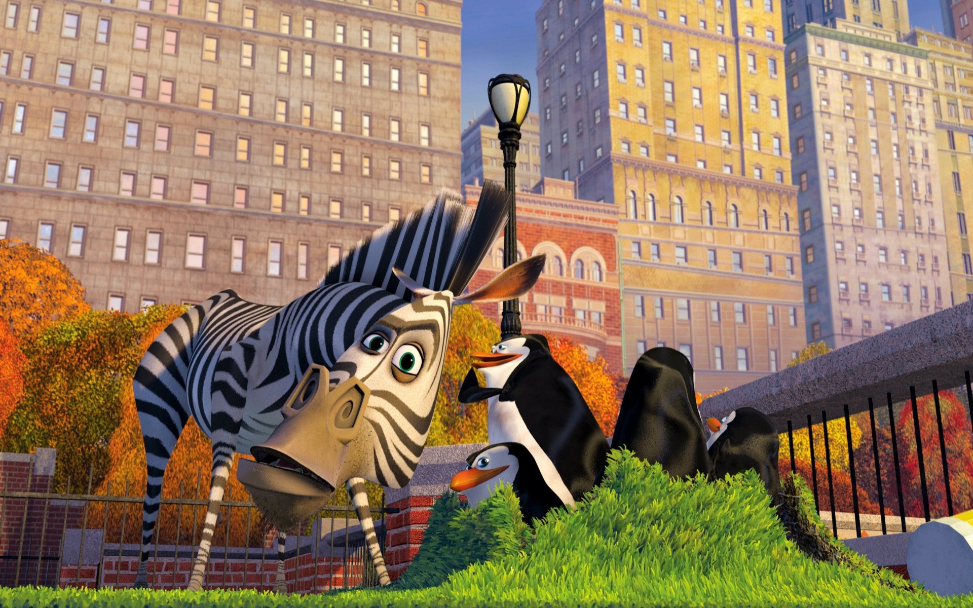 мультфильмы город на открытом воздухе архитектура городской дом парк мультфильм зебра