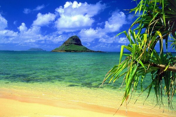 Meraviglioso paesaggio di spiaggia tropicale