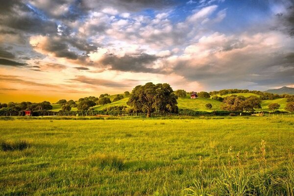 Landscape of a green field and beautiful clouds