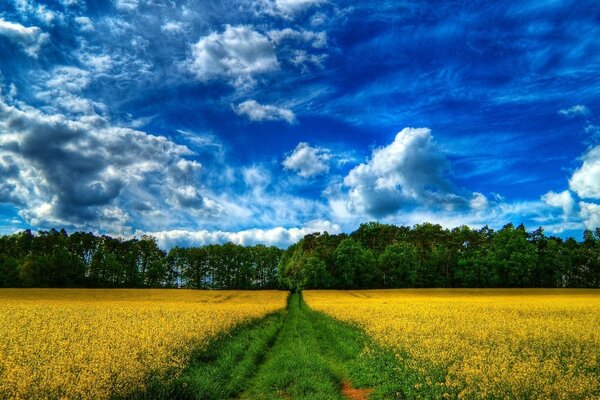 Die Natur der ländlichen Landschaften wird nicht vergessen