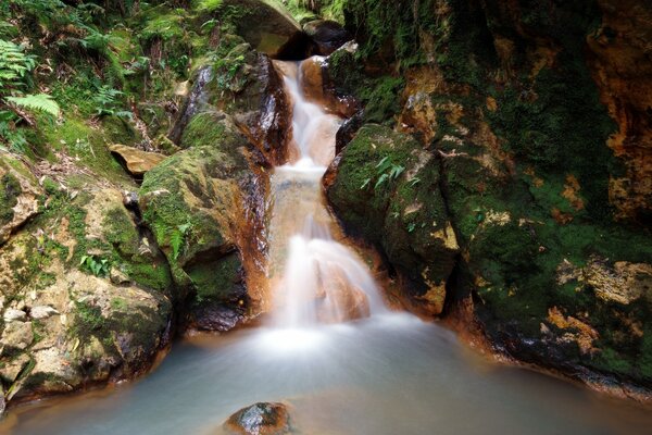 Cascade entre les gorges vertes