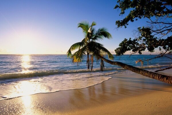 Praia tropical com vista para o pôr do sol