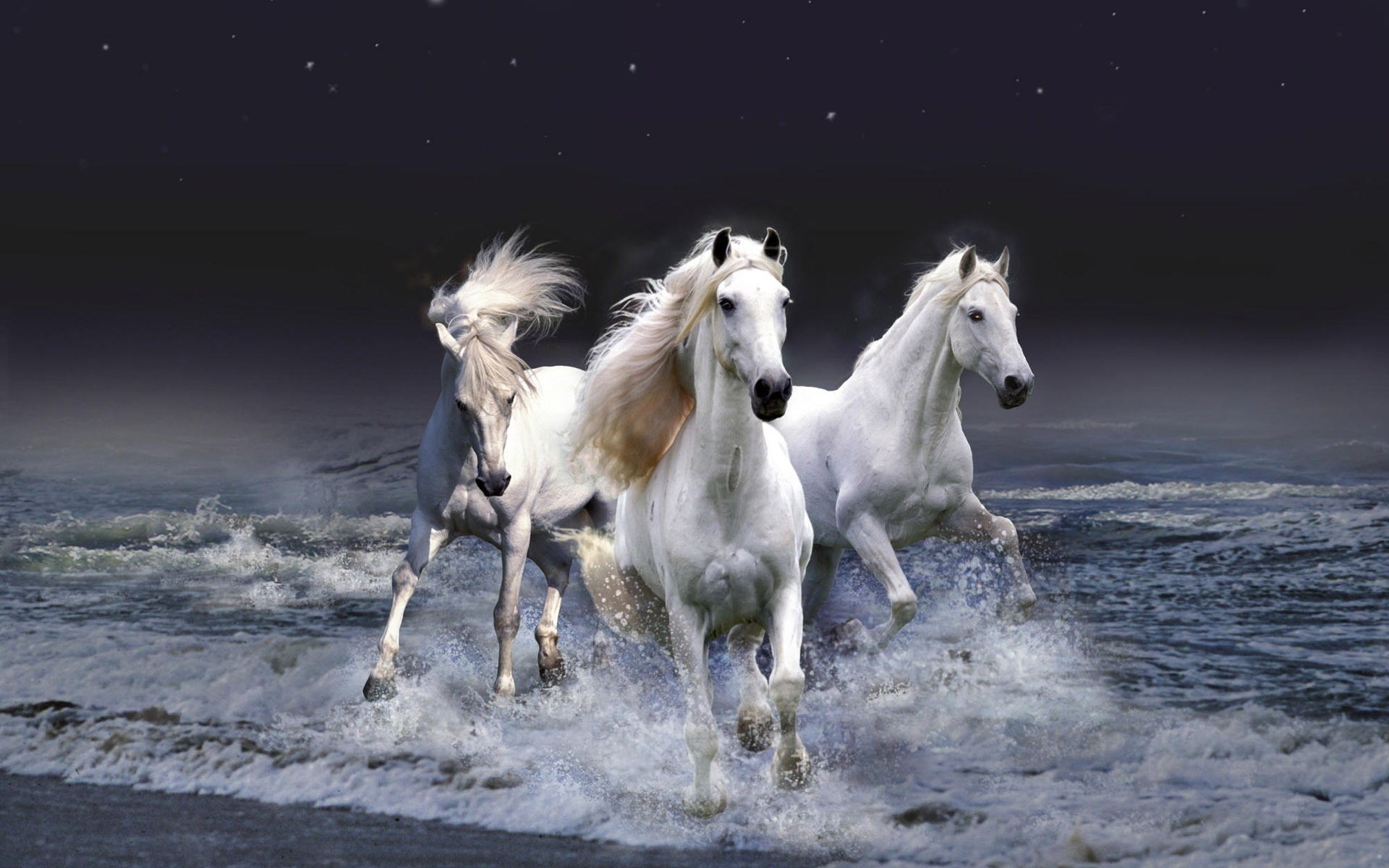 животные млекопитающее конница лошадь маре быстро коневодство на открытом воздухе жеребец животное мане движения действие пони два мустанг небо свобода конный один