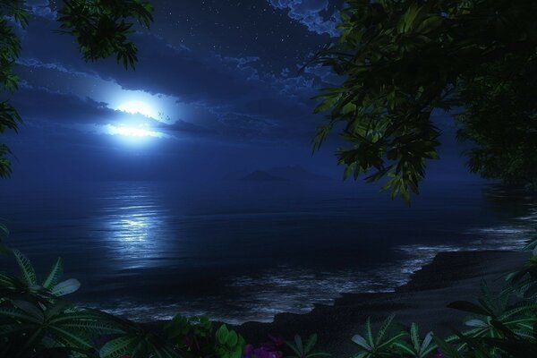 Praia da noite. Lua azul