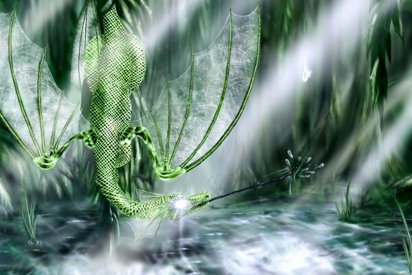 Green dragon art on the desktop