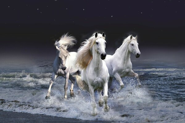 Tres caballos blancos corriendo sobre las olas