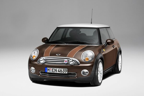 Mini-Auto auf ausgezeichneten Rädern