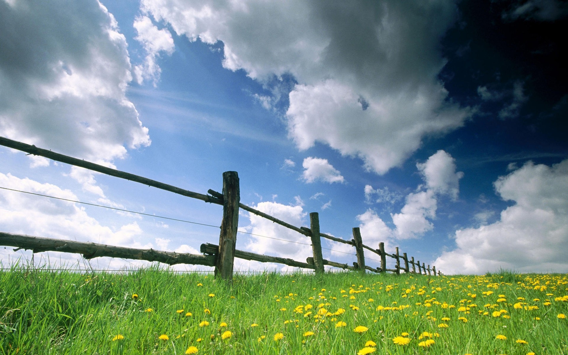 primavera erba paesaggio campo natura fieno fiore rurale estate cielo fattoria campagna paese recinzione agricoltura dente di leone sole nuvola all aperto flora fiori