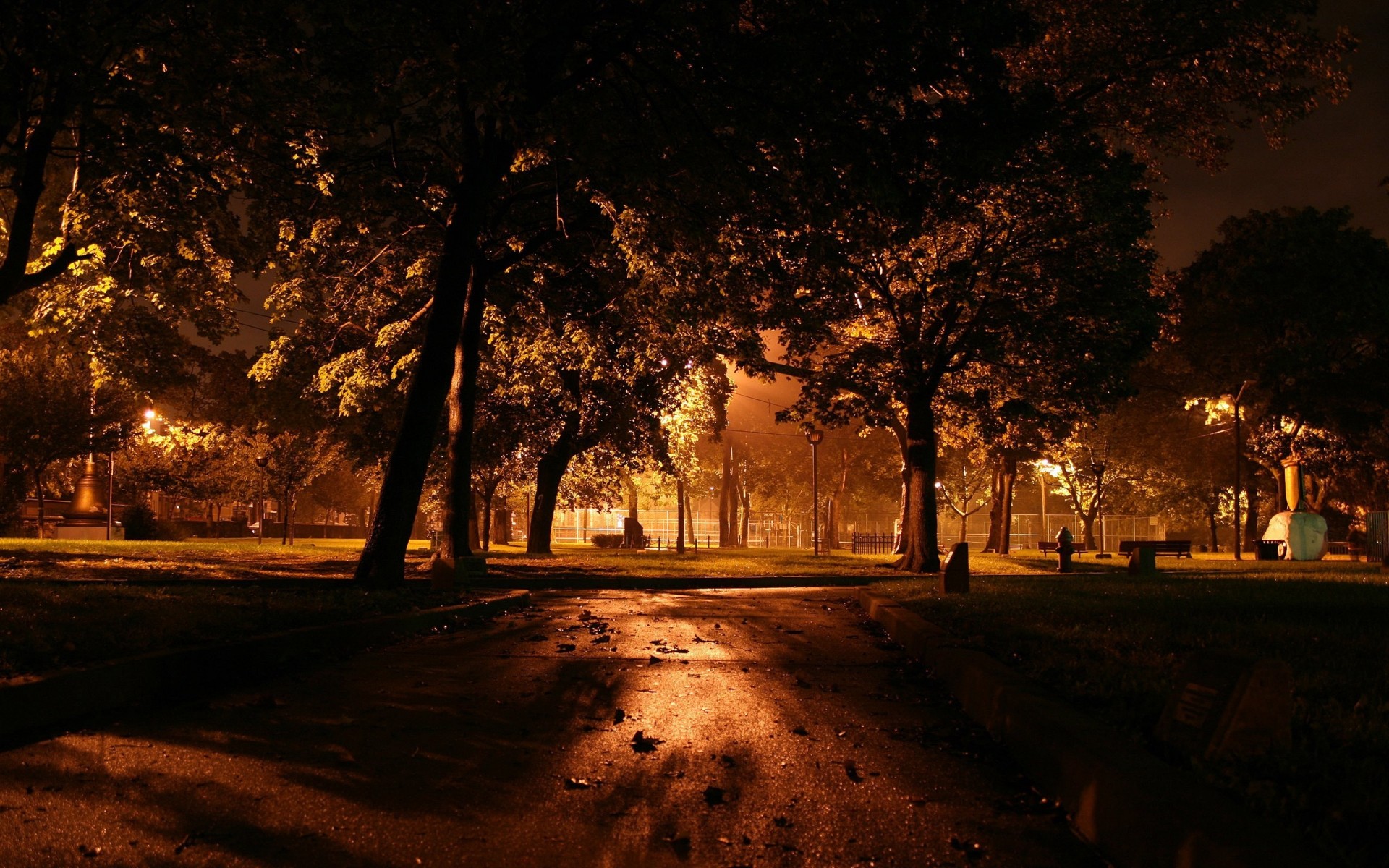 осень дерево свет рассвет улица дорога осень туман пейзаж закат темный туман зима