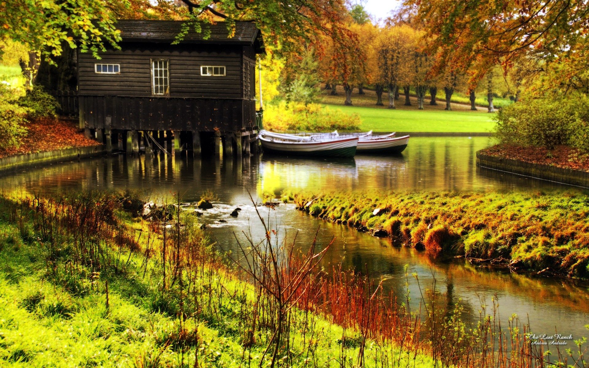 осень воды осень озеро бассейн река на открытом воздухе отражение природа дерево древесины парк пейзаж лист путешествия живописный