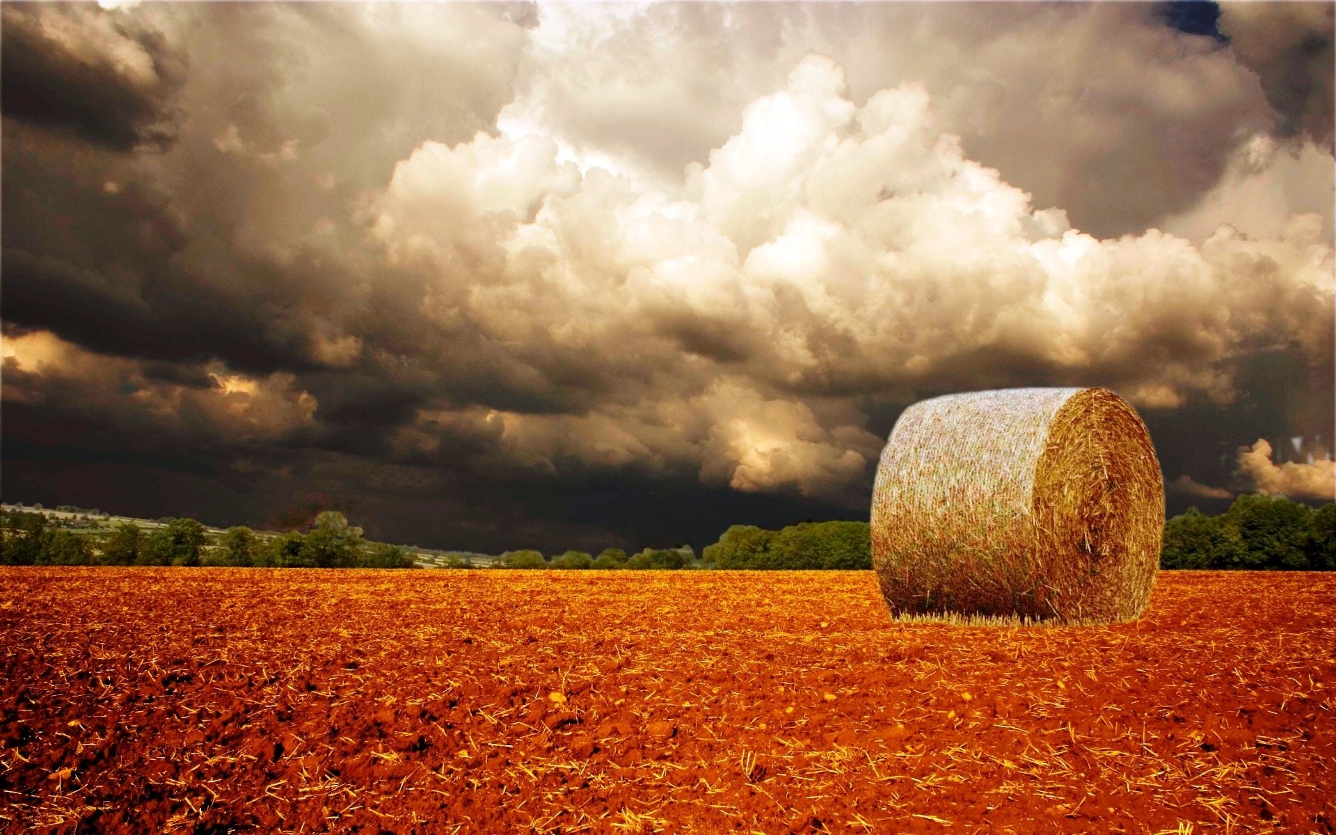 autumn sky wheat rural agriculture fall sunset outdoors countryside nature pasture corn cereal landscape gold