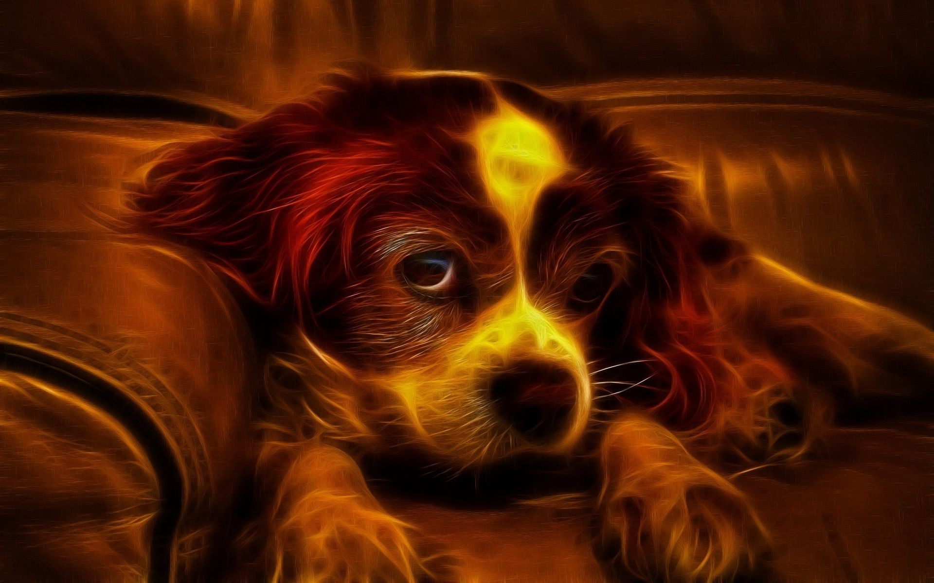 animals dog portrait pet