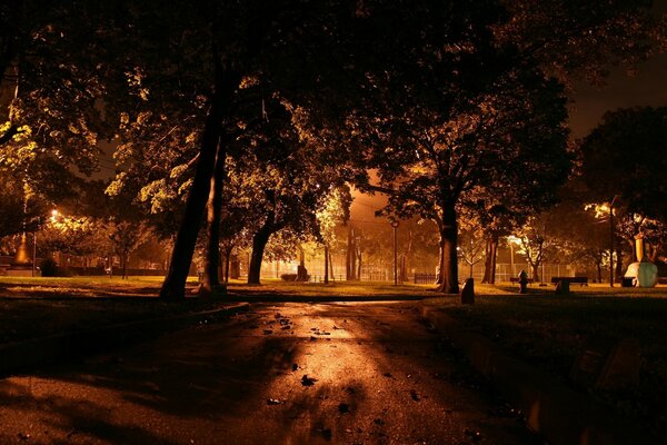 Dunkle Straße im Park am Abend