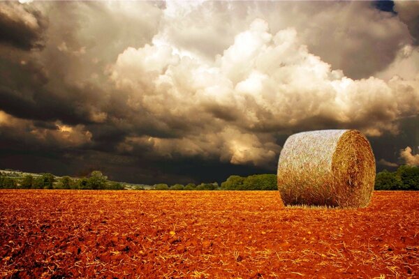 Ein dunkles Feld im Herbst. Heuernte