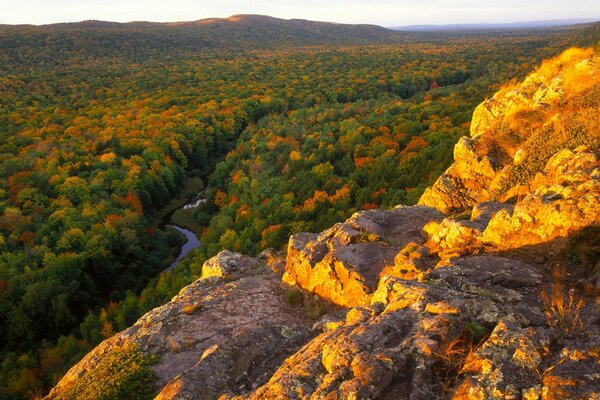 Vue de dessus sur la belle forêt d automne