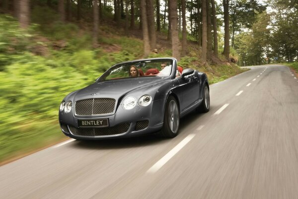 Ormandaki yolda araba. Bentley asfaltta