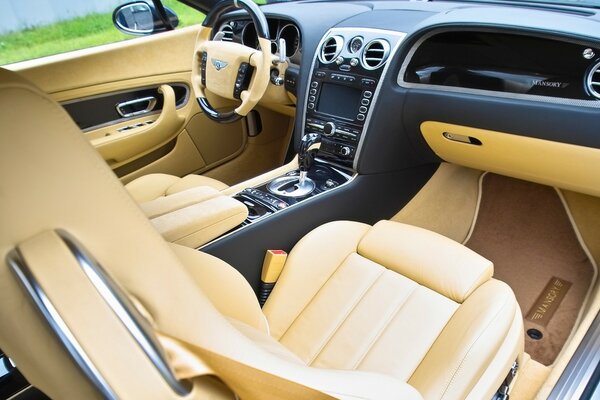 Interior de couro premium