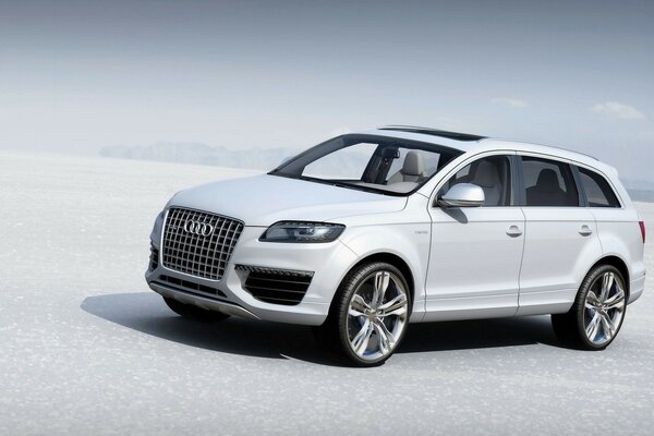 Coche audi blanco con escotilla