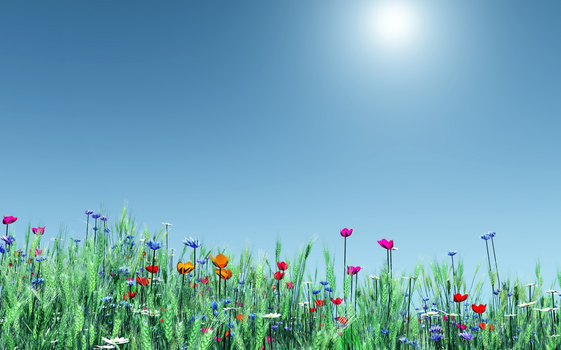 flowers field grass nature flower summer rural sun hayfield fair weather growth flora countryside outdoors bright sky leaf