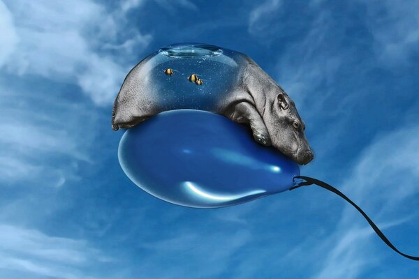 Image d un animal sur un ballon