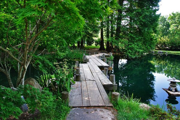 Puente en el Jardín verde y el lago