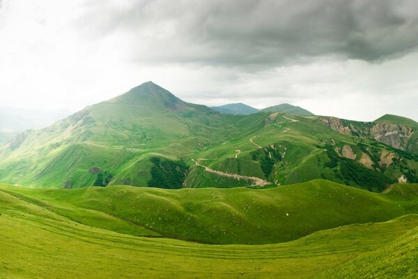 Пейзаж гірські зелені луки