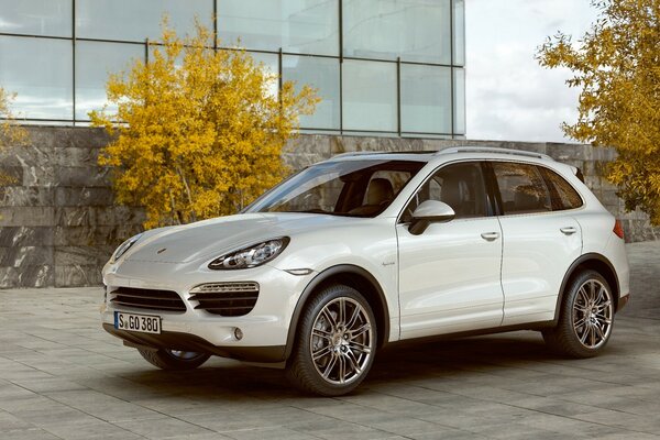 Porsche im Herbst Blätter Hintergrund in der Stadt