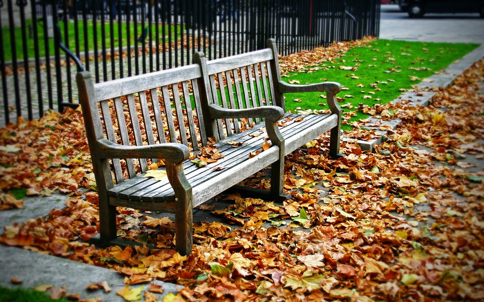 automne banc bois parc place feuille jardin en bois nature automne arbre saison à l extérieur herbe à l extérieur chaise couleur pelouse feuilles