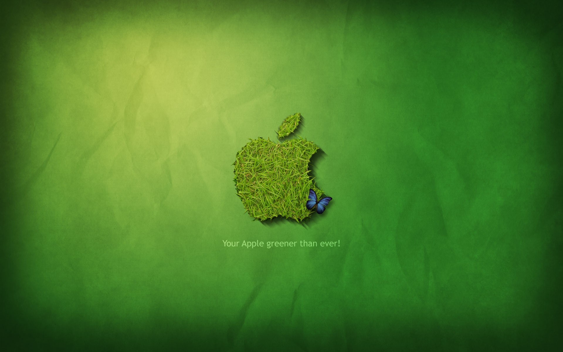 apple desktop nature leaf flora