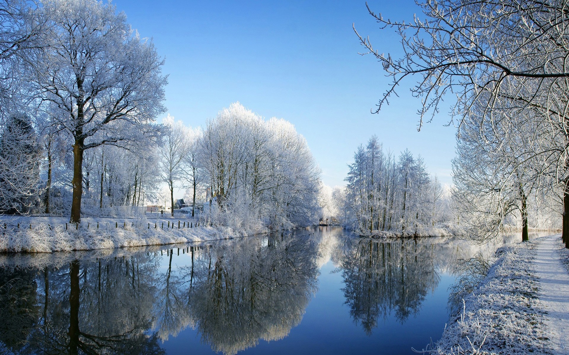 inverno árvore paisagem frio neve madeira temporada geada natureza congelado ramo tempo gelo parque cênica cena reflexão outono brilhante lago árvores